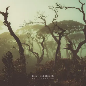 Best Elements by Eriq Johnson