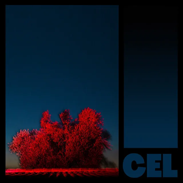 Cel