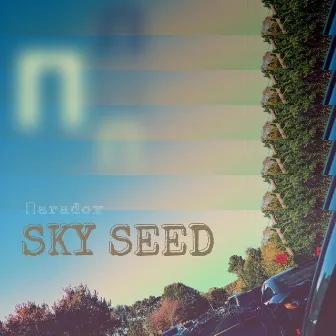 Sky Seed by Paradox 3.14