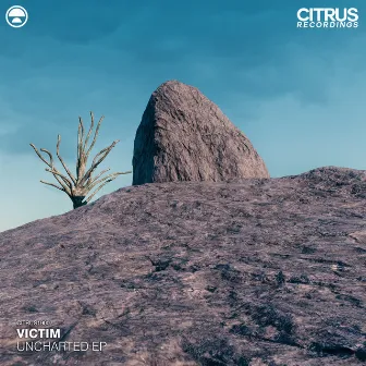 Uncharted EP by Victim