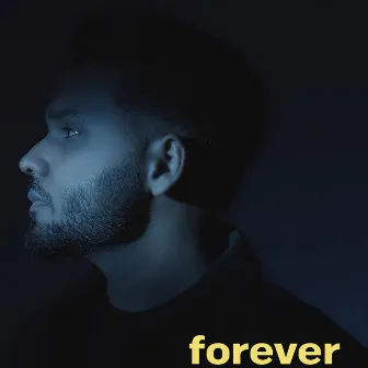 Forever by Dev Ocean