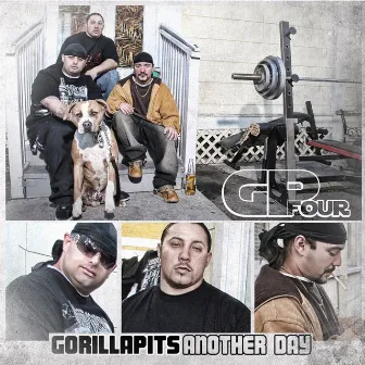 Another Day by Gorilla Pits