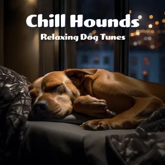 Chill Hounds: Relaxing Dog Tunes by Relaxmydog