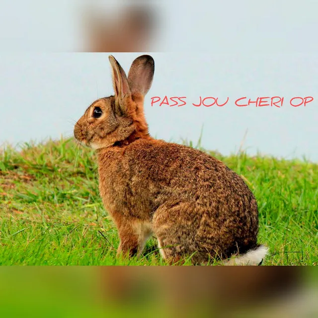 Pass Jou Cheri Op