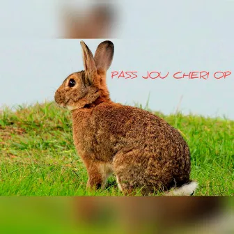 Pass Jou Cheri Op by Oxocords