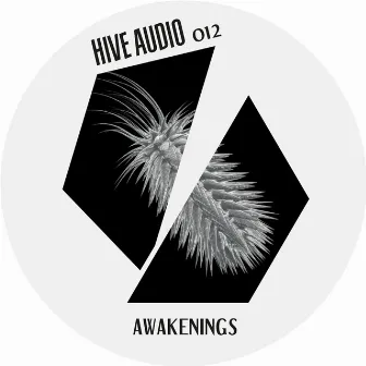 Awakenings by Jimi Jules