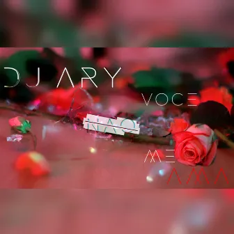 Você Não Me Ama by DJ Ary