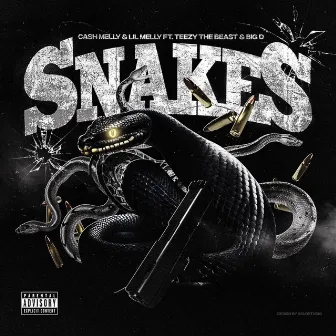 Snakes by Unknown Artist