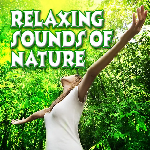 Relaxing Sounds of Nature