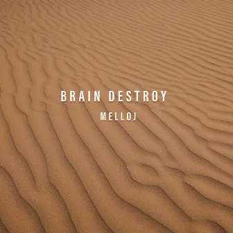 Brain Destroy by 