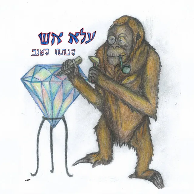 מה היעד הבא