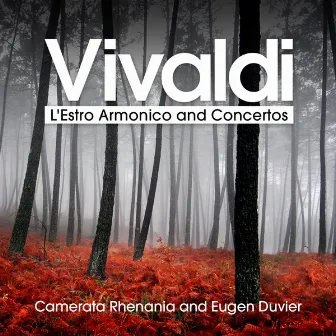 Vivaldi: L'Estro Armonico and Concertos by Camerata Rhenania