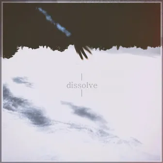 Dissolve by RTIK