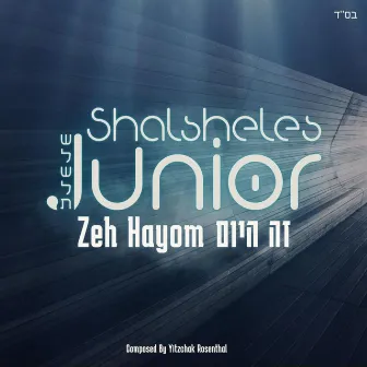 Zeh Hayom by Shalsheles Junior