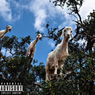 New Goat by Therealadot Lildot