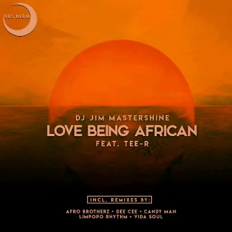 Love Being African (Remix Package) by Teer