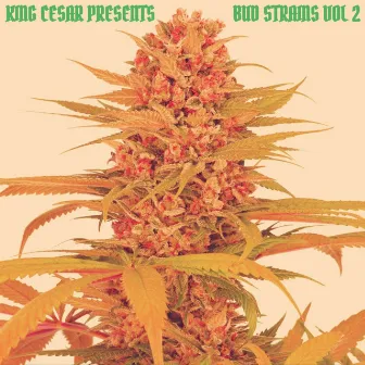 Bud Strains 2 by KING CESAR