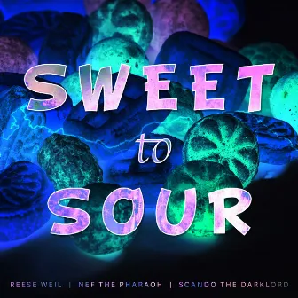 Sweet to Sour by Reese Weil