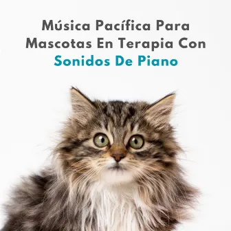 Música Pacífica Para Mascotas En Terapia Con Sonidos De Piano by Piano Romantico