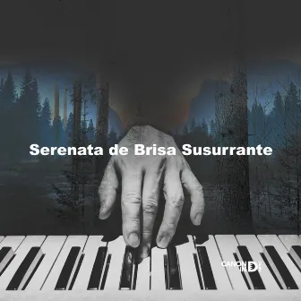 Serenata de Brisa Susurrante by Canon In D Piano