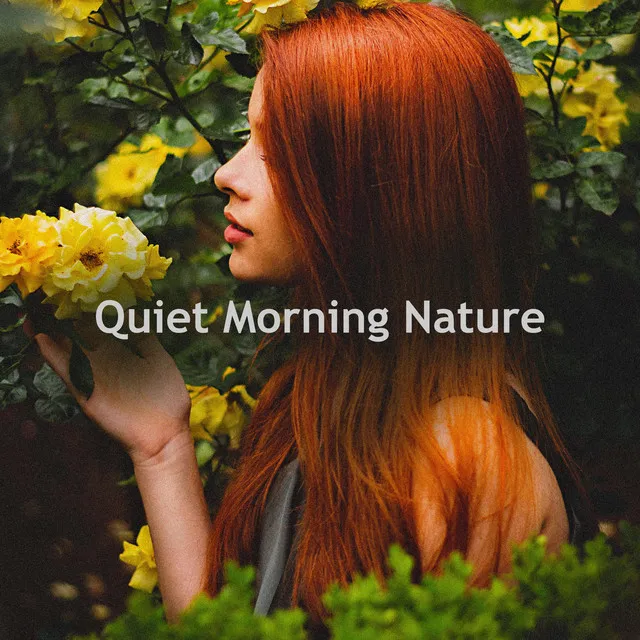 Quiet Morning Nature