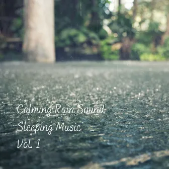 Calming Rain Sound Sleeping Music Vol. 1 by Songs for Dogs to Sleep To