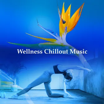 Wellness Chillout Music by Zen Balance