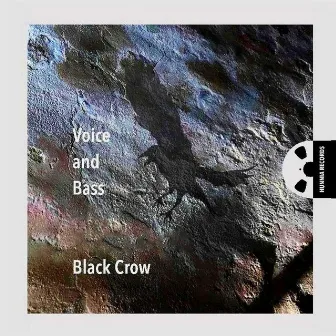 Voice and Bass: Black Crow by Tibor Csuhaj-Barna