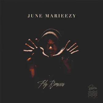 Fly (The Remixes) by June Marieezy