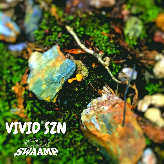 VIVID SZN