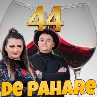 44 De Pahare by Florinel Si Ioana