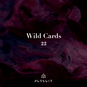 Wild Cards 22 by BEIL