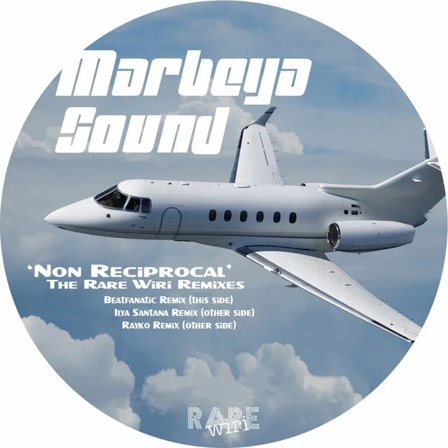 Non Reciprocal (The Remixes)