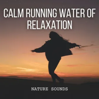 Nature Sounds: Calm Running Water of Relaxation by Spiritual Relax