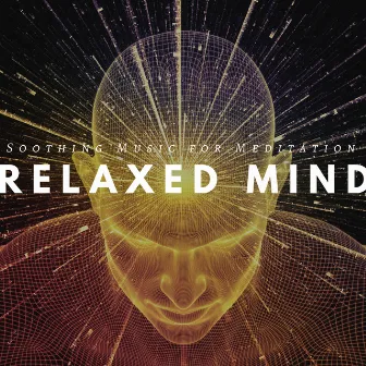 Relaxed Mind: Soothing Music for Meditation, Serenity Zen, Free Spirit, Relaxed Body by Unknown Artist