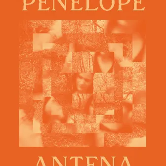 Every Story Ever Told by Penelope Antena