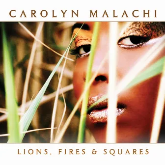 Lions, Fires & Squares by Carolyn Malachi