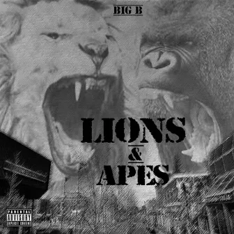 LIONS & APES by BigB514