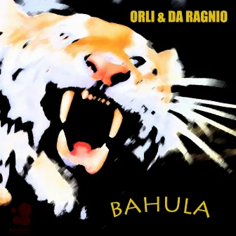 Bahula by Orli