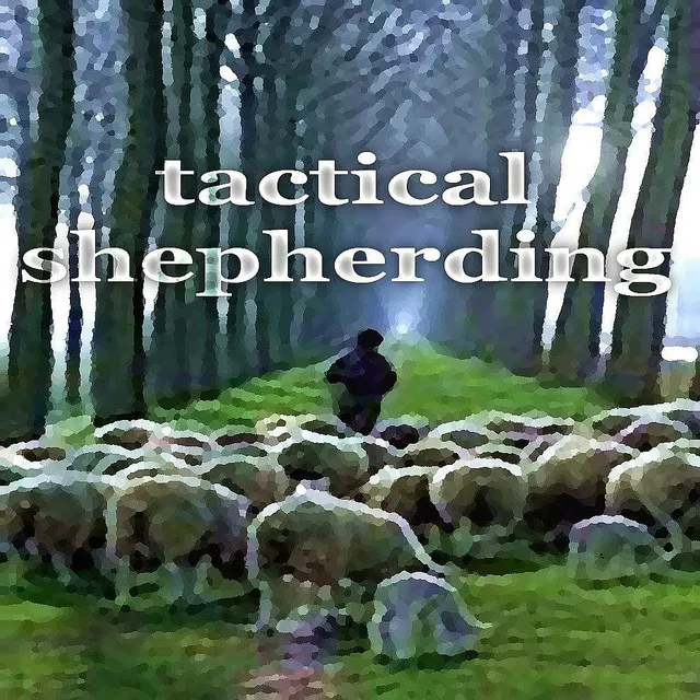 Tactical Shepherding