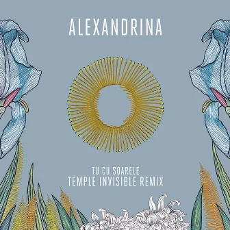 Tu Cu Soarele (Temple Invisible Remix) by Alexandrina