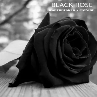 Black Rose by Psynide