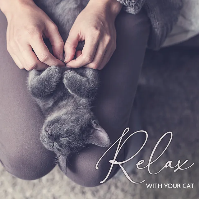 Relax with Your Cat – Soothing New Age Music Colllection 2021