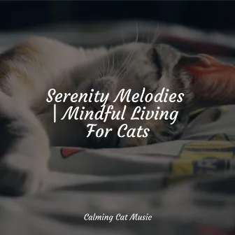 Serenity Melodies | Mindful Living For Cats by Cat Music Dreams