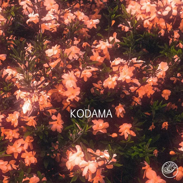 Kodama