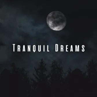 Tranquil Dreams: Binaural and Nature Sounds for Sleep by Sleep Recording Studios