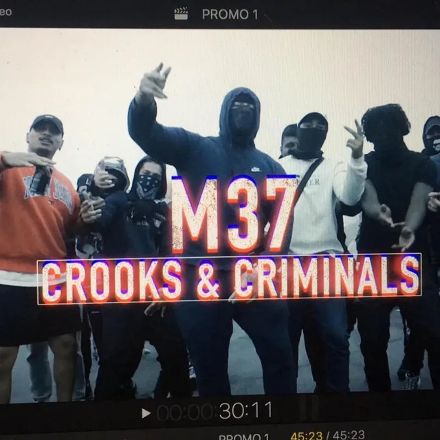 Crooks N Criminals