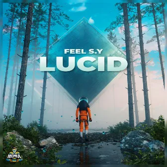 Lucid by Feel S.Y