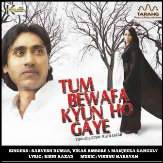 Tum Bewafa Kyun Ho Gaye by Vikas Ambore