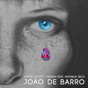 João de Barro by André Sarate